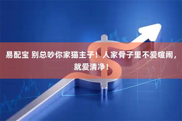 易配宝 别总吵你家猫主子！人家骨子里不爱喧闹，就爱清净！