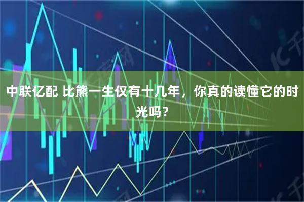 中联亿配 比熊一生仅有十几年，你真的读懂它的时光吗？