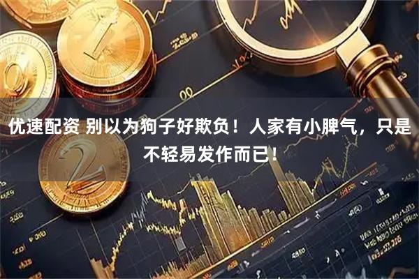 优速配资 别以为狗子好欺负！人家有小脾气，只是不轻易发作而已！