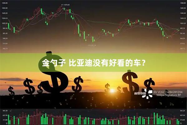 金勺子 比亚迪没有好看的车？