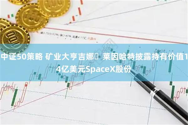 中证50策略 矿业大亨吉娜・莱因哈特披露持有价值14亿美元SpaceX股份